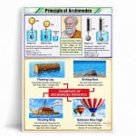 Archimedes Principal